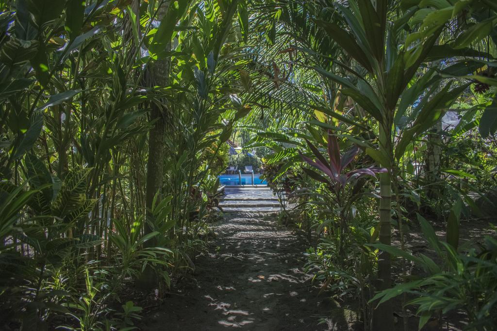 Atlantida Lodge Cahuita Eksteriør bilde
