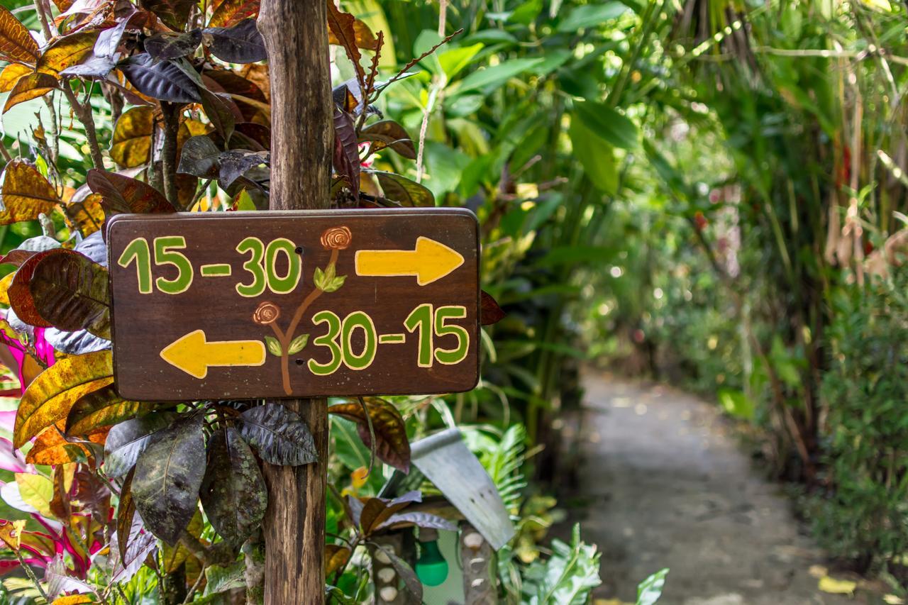Atlantida Lodge Cahuita Eksteriør bilde